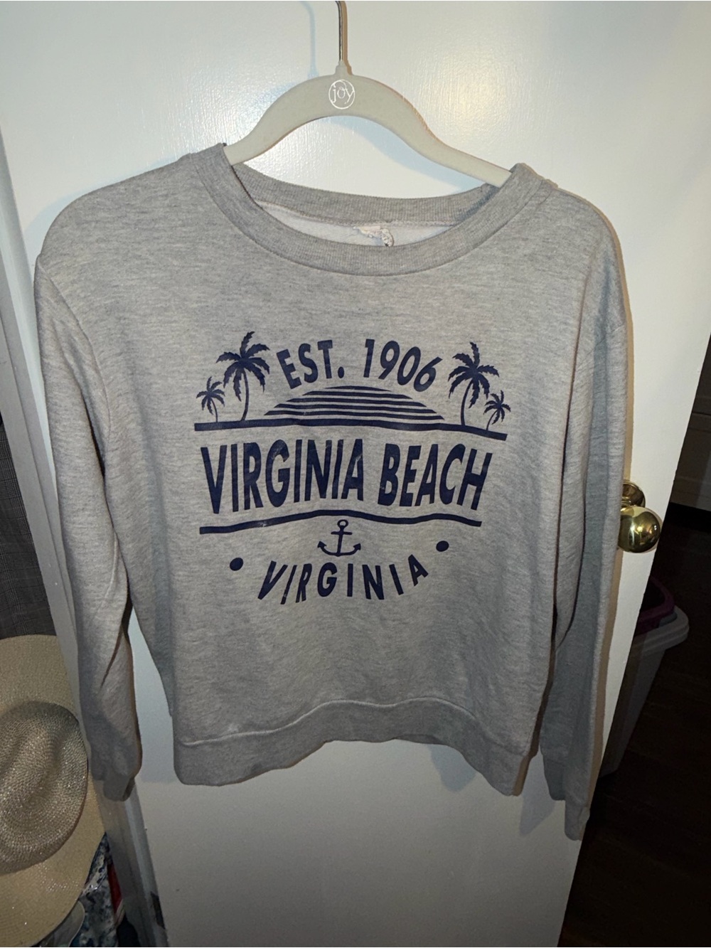 Virginia Beach Graphic Crewneck Sweatshirt - Heather Gray